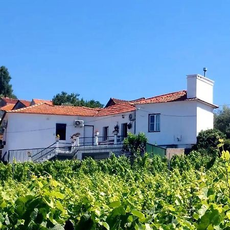 Вилла Casa Ceci Douro Cidadelhe  Экстерьер фото
