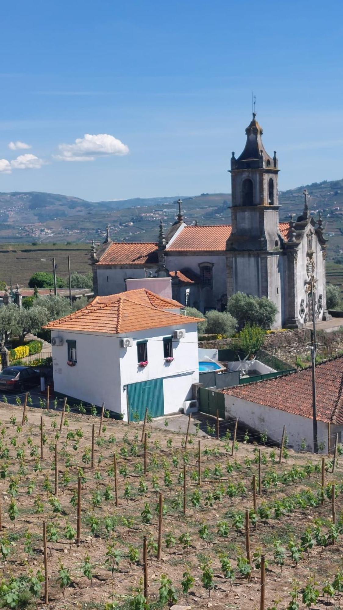 Вилла Casa Ceci Douro Cidadelhe  Экстерьер фото